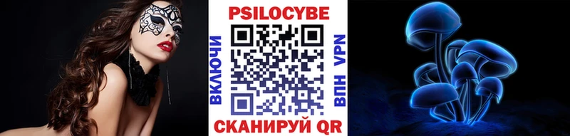 Псилоцибиновые грибы Psilocybine cubensis Осташков